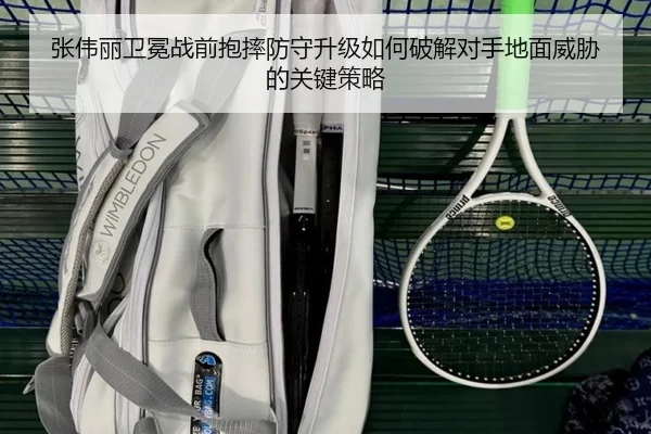 张伟丽卫冕战前抱摔防守升级如何破解对手地面威胁的关键策略